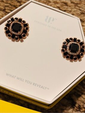 Bomb Part RARE UNICORN black onyx earrings.